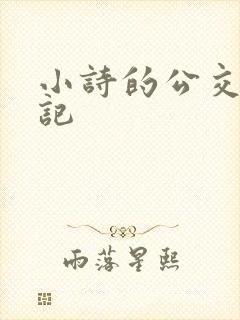 小诗的公交车日记