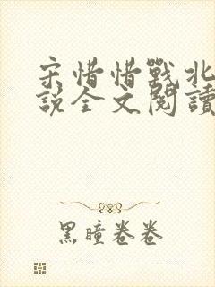 宋惜惜战北望小说全文阅读