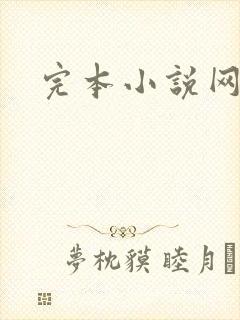 完本小说网
