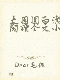 大团圆白洁免费阅读全文小说
