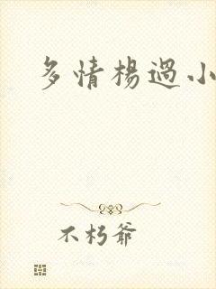 多情杨过小说