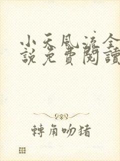 小天风流全集小说免费阅读