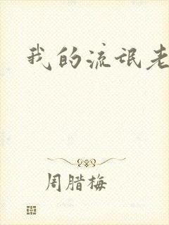 我的流氓老师封面
