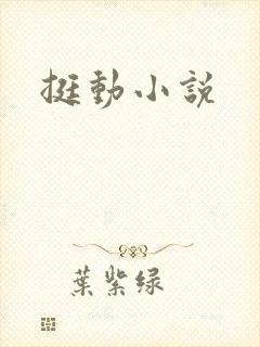 挺动小说
