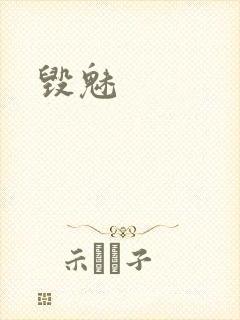 毁魅