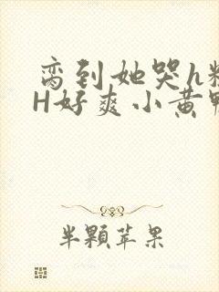 脔到她哭h粗话H好爽小黄鸭视频封面