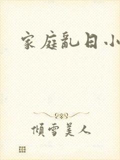 家庭乱日小说