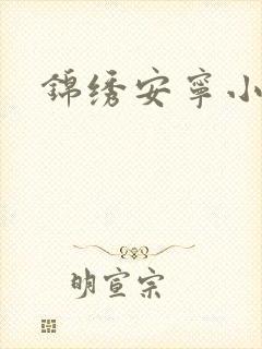 锦绣安宁小说