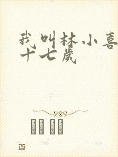 我叫林小喜今年十七岁