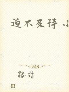 迫不及待 小穴