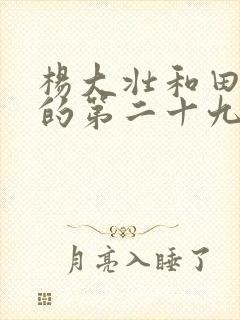 杨大壮和田桂花的第二十九