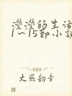 滢滢的生活日记1～15节小说封面