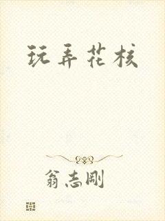 玩弄花核封面