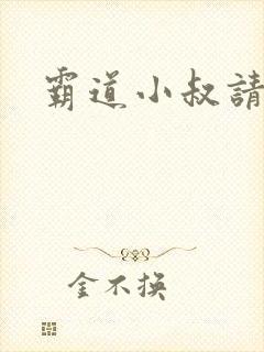霸道小叔请轻撩封面