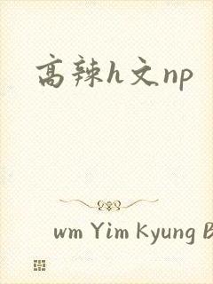高辣h文np