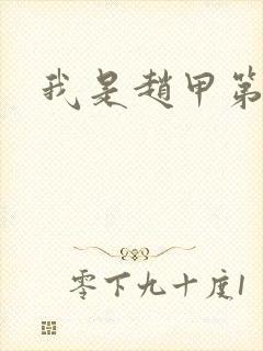 我是赵甲第小说