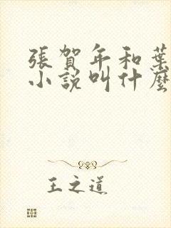 张贺年和叶繁姿小说叫什么名字封面