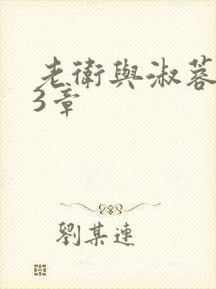 老卫与淑蓉第13章