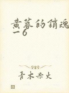 黄蓉的销魂夜1一6封面