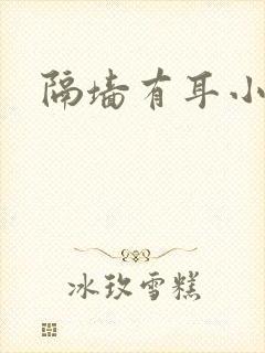 隔墙有耳小说
