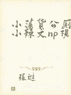 小荡货公厕h文小辣文np视频