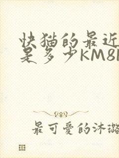 快猫的最近链接是多少KM8KW