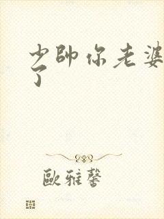 少帅你老婆又跑了