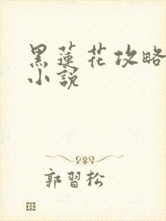 黑莲花攻略手册小说封面