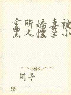 会所娇妻被多个黑人怀孕小说封面