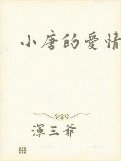 小唐的爱情史