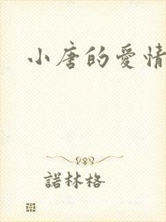 小唐的爱情史封面