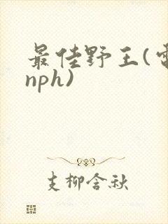 最佳野王(电竞nph)