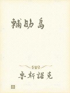 辅助岛