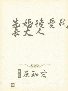 先婚后爱我的市长大人