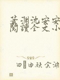 萧渊沈安安免费阅读全文小说