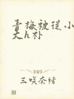 青梅被从小摸到大h补