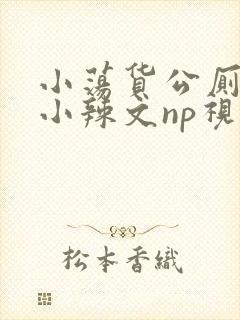 小荡货公厕h文小辣文np视频封面
