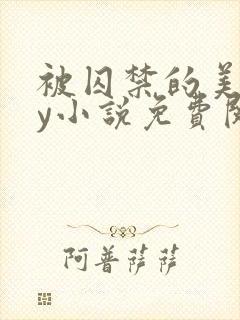 被囚禁的美人by小说免费阅读