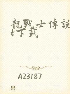 龙战士传说txt下载
