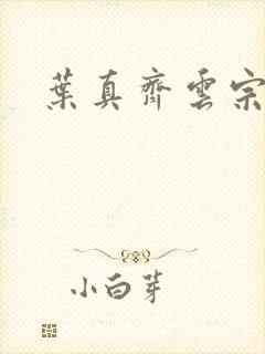 叶真齐云宗免费