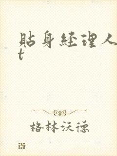 贴身经理人txt