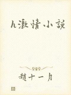 h激情小说封面