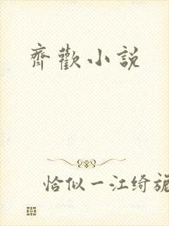 齐欢小说