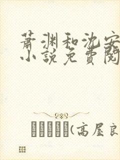 萧渊和沈安安的小说免费阅读
