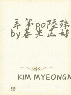 弄筝po陆殊词by春光正好