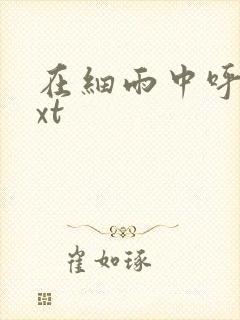 在细雨中呼喊txt