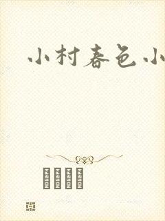 小村春色小说