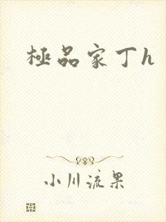 极品家丁h