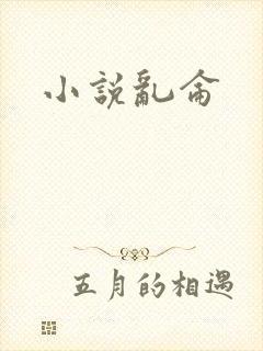 小说乱仑封面
