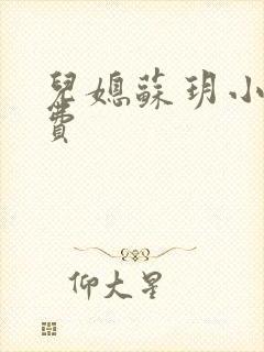 儿媳苏玥小说免费